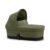 Moss Green