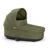 Moss Green