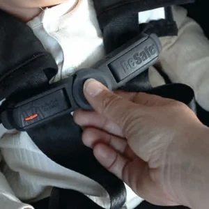 BeSafe Belt Keeper