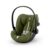 Moss Green
