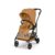 CINNAMON YELLOW CIYE